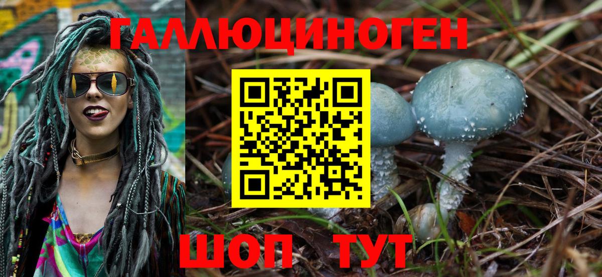 Галлюциногенные грибы MAGIC MUSHROOMS  Вход с VPN  Майский 